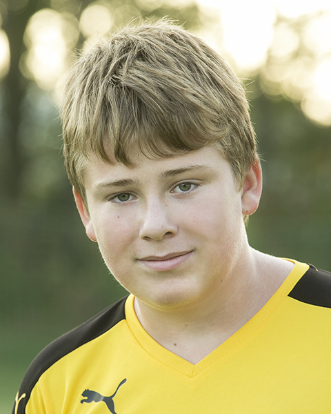 RauscherS2020