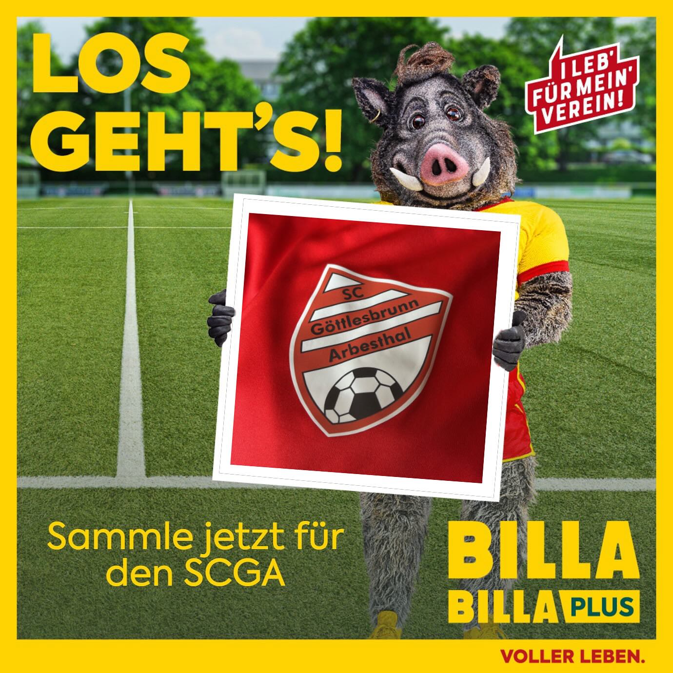billa-aktion2024