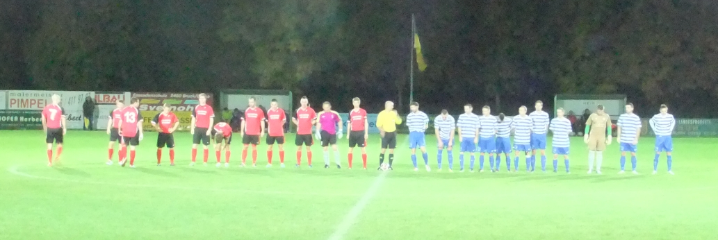 haslau2013-2