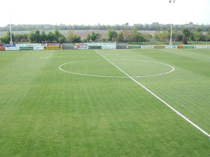 Hauptspielfeld